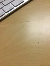 test2 attendee